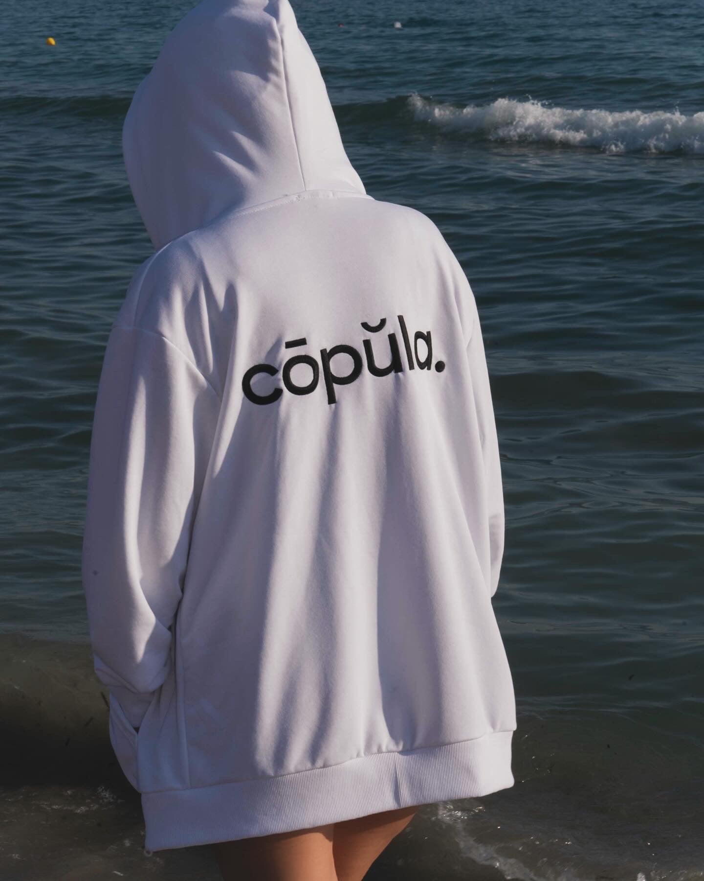 Honestas Hoodie
